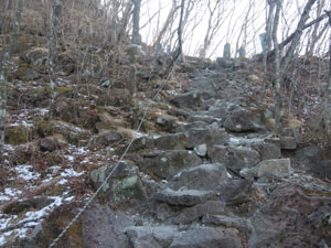 �o�R������̓o�R���B