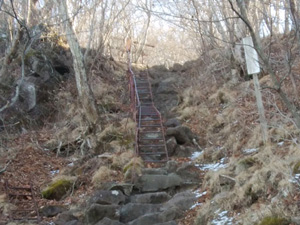 �X�Ƀn�V�S�͑������E�E�E