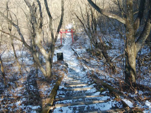 ���򂩂�̓�