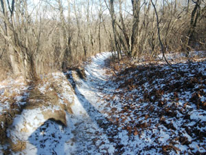 ���򂩂�̓�