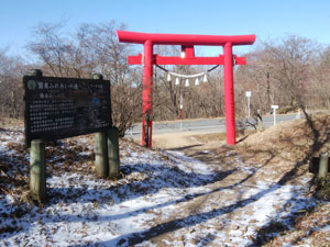 �Ԃ������̂���o�R��