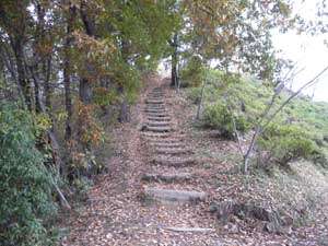 �ؒi��i�񂾁B