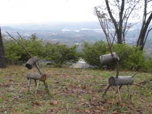 �ۑ��̓���