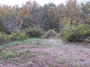 �R������̓o�R���B