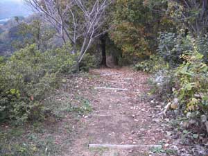 �ؒi������`