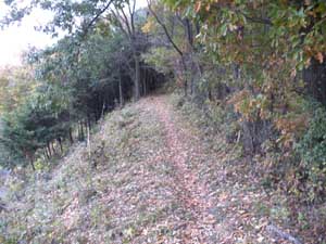 ���߂̗ǂ���