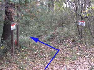 4�����ŕ���ɓ���