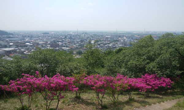 雷電神社からの眺め