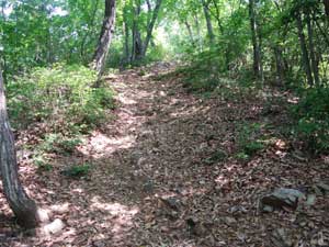 登山道。
