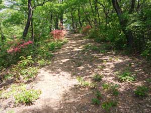 ���˓��R�R��