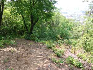 �x���`����̓o�R���B