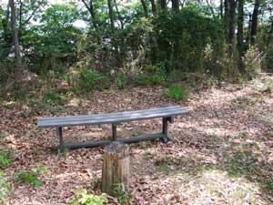 �x���`�̂���s�[�N