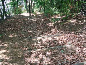 �s�[�N����̉���