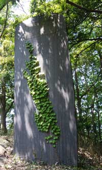 �����͎m���V�搶�V��