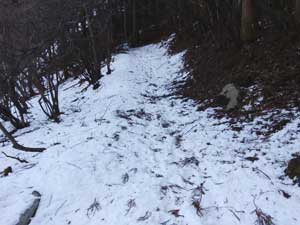 ���򂩂�̓o�R���B