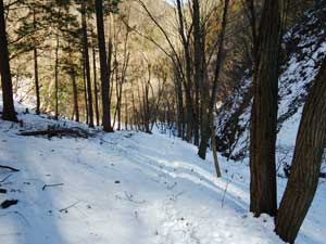 ��̓o�R��������`