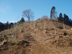 ���̂��Ă����ς�