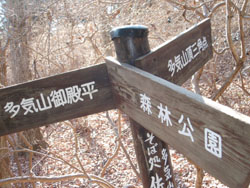 �W���𔭌��`