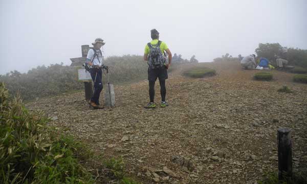 ���W�R �R��