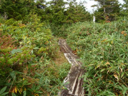 �k������