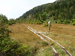 ���c�㎼��