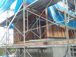 �H�����̃g�C��