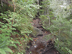 �O�@��t������̓o�R��