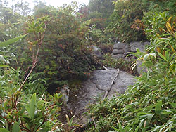 �傫�Ȋ�ɂ̓��[�v