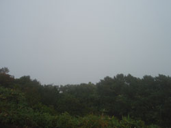 まっ白で何も見えない〜〜