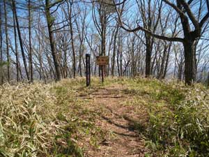 ���ԎR�R��(1341.7m)