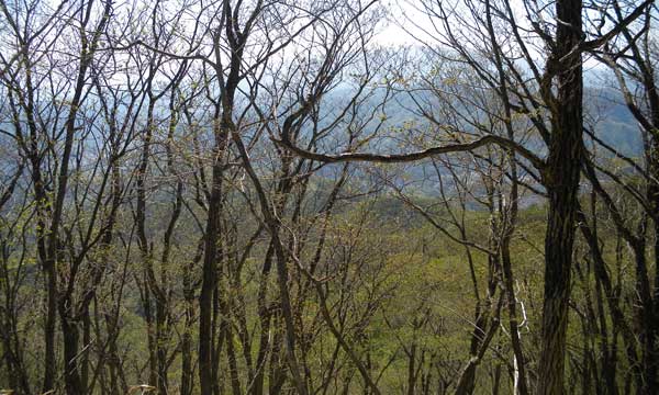 山頂からの眺め