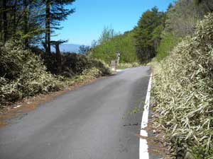 �A�X�t�@���g�̓�