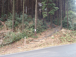 �o�R��(���������V����)