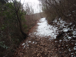 �ᓹ�̗V����