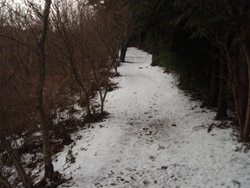 �V�����͂���Ȋ���