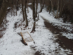 �}�E���e���o�C�N�̓�