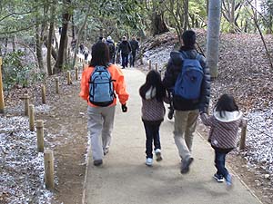 ���������ƍ~��Ă����`