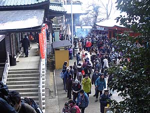 ��{���͂��Ȃ�̍��ݍ���