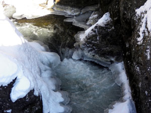 �����̑�(����)