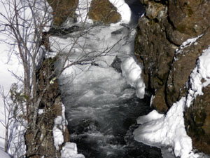 �����̑�(����)