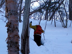 雪は深くなり・・・