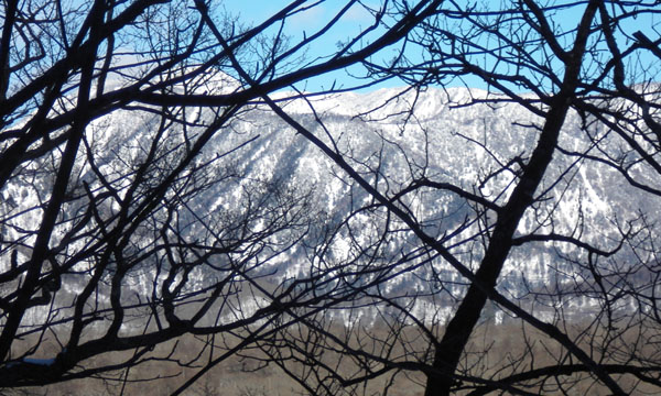 ピークからの眺め