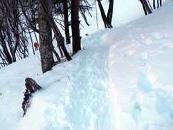 �Ō�������Jimmy