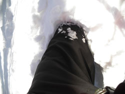 �G�ʂ܂ő��͖��܂�`�I