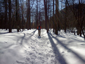 �V�������U�����`