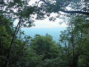 �r������̒���