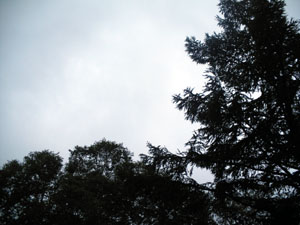 ��͍��ɂ��J���~��o�������ȉ_