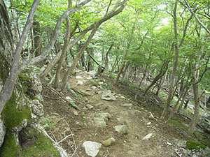 ���R���璆�T���΂ւ̓o�R��