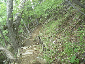 ���R���璆�T���΂ւ̓o�R��