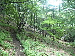 ���������璆�T���΂ւ̓o�R��